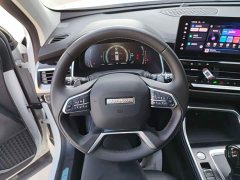 Haval H6 National Trend Edition 1.5T Automatic Champion Version - ფოტო 10