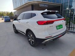 Haval H6 National Trend Edition 1.5T Automatic Champion Version - ფოტო 4