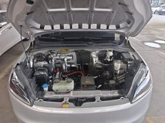 Wuling Hongguang New Energy Pure Electric 300KM Standard - photo 19