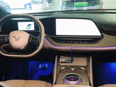 FAW Hongqi Tiangong 08 680 Ultra AWD - photo 12