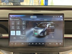 Denza D9 DM-i 980 Four-Wheel Drive Premium - ფოტო 19