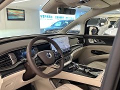 Denza D9 DM-i 980 Four-Wheel Drive Premium - ფოტო 9