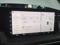 Xpeng P7 P7i 550 Pro - ფოტო 12