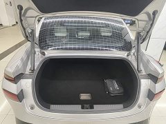Xpeng P7 P7i 550 Pro - ფოტო 18