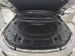 Xpeng P7 P7i 550 Pro - ფოტო 19