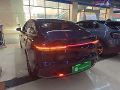 BYD Destroyer 05 Glory Edition DM-i 55KM Luxury - фото 4