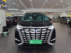 Denza D9 DM-i 970 AWD Flagship - фото 2