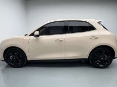 ORA Good Cat 401km Luxury - ფოტო 13