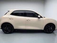 ORA Good Cat 401km Luxury - ფოტო 15