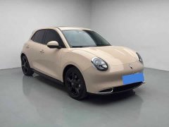 ORA Good Cat 401km Luxury - ფოტო 3