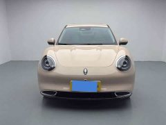 ORA Good Cat 401km Luxury - ფოტო 4