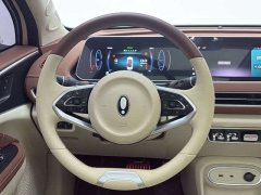 ORA Good Cat 401km Luxury - ფოტო 6