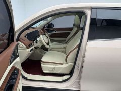 ORA Good Cat 401km Luxury - ფოტო 9
