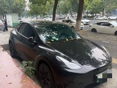 Tesla Model Y Rear-Wheel Drive - фото 2