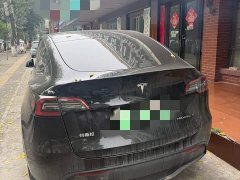 Tesla Model Y Rear-Wheel Drive - фото 3
