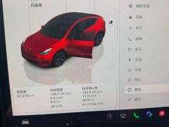 Tesla Model Y Rear-Wheel Drive - фото 7