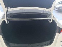 Buick Verano Pro GS Hunting Wind Edition - ფოტო 18