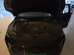 BYD Tang New Energy Facelift DM-p War God Edition - фото 10