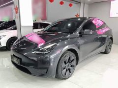 Tesla Model Y Rear-Wheel Drive - photo 1