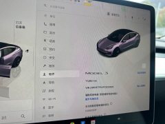 Tesla Model 3 Rear-Wheel Drive - ფოტო 12