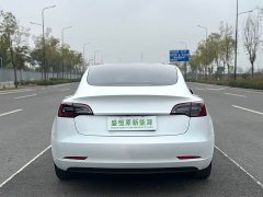 Tesla Model 3 Rear-Wheel Drive - ფოტო 6