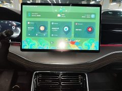 BYD Tang New Energy DM-i 112KM Premium Edition - ფოტო 12