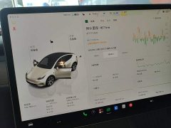 Tesla Model Y Long Range All-Wheel Drive - фото 11
