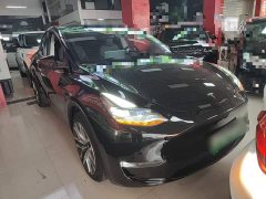 Tesla Model Y Long Range All-Wheel Drive - фото 3