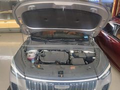 Geely Boyue 1.5TD Beloved - ფოტო 19