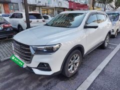 Haval H6 National Trend 1.5GDIT Automatic Champion Edition - photo 1