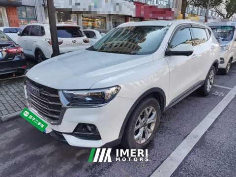 2022 Haval H6 National Trend 1.5GDIT Automatic Champion Edition - автомобиль из Китая
