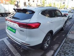 Haval H6 National Trend 1.5GDIT Automatic Champion Edition - photo 6