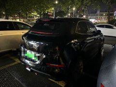 ORA Good Cat 400km Standard Range Athena Edition LFP Battery - фото 6