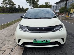 BYD Dolphin Glory Edition 420km Fashion Version - ფოტო 1
