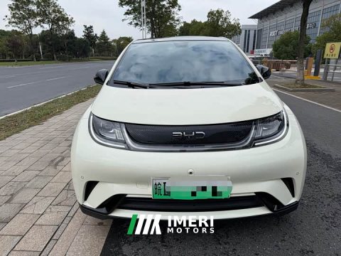 2024 BYD Dolphin Glory Edition 420km Fashion Version - ავტომობილი ჩინეთიდან