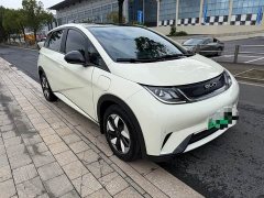 BYD Dolphin Glory Edition 420km Fashion Version - ფოტო 4