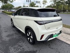 BYD Dolphin Glory Edition 420km Fashion Version - ფოტო 5