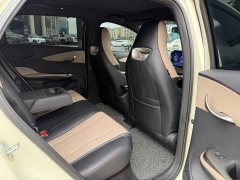 BYD Dolphin Glory Edition 420km Fashion Version - ფოტო 7