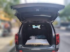 GAC Aion GS8 Pioneer Series 2.0T GDI FWD Luxury Smart Connected Edition 7-Seater - photo 15
