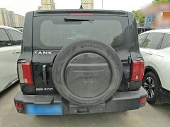 Tank 300 Off-Road Edition 2.0T Conqueror - ფოტო 5