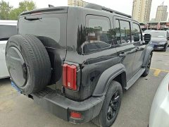 Tank 300 Off-Road Edition 2.0T Conqueror - ფოტო 6