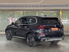 BMW X5 xDrive 40Li M Sport Package - photo 13