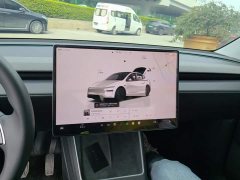 Tesla Model Y Rear-Wheel Drive Launch Edition - ფოტო 11