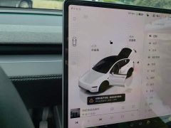 Tesla Model Y Rear-Wheel Drive Launch Edition - ფოტო 14