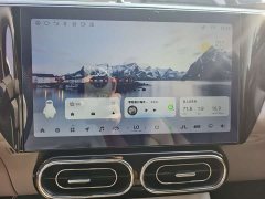 Leapmotor C11 Luxury - ფოტო 13