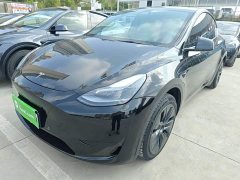 Tesla Model Y Rear-Wheel Drive - ფოტო 1