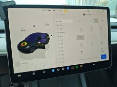 Tesla Model Y Rear-Wheel Drive - ფოტო 12