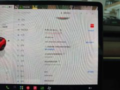 Tesla Model 3 Performance All-Wheel Drive - ფოტო 6