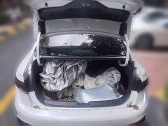 Volkswagen Sagitar 300TSI DSG Excellence Edition - photo 15