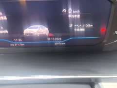 Volkswagen Sagitar 300TSI DSG Excellence Edition - photo 8